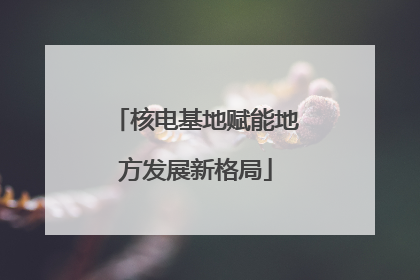 核电基地赋能地方发展新格局